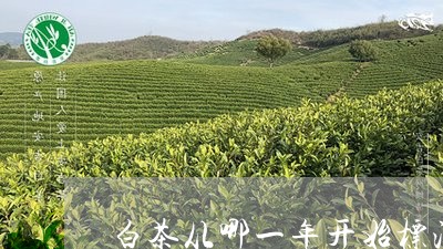 白茶从哪一年开始标注日期/2023041016360