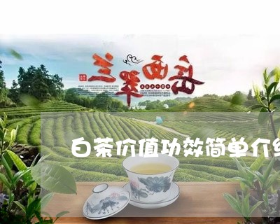 白茶价值功效简单介绍图片/2023041323360