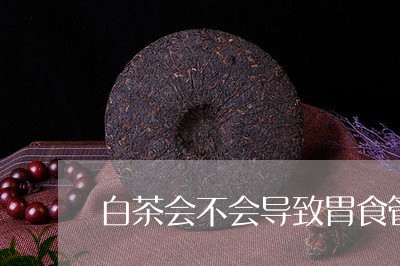 白茶会不会导致胃食管反流/2023041074827