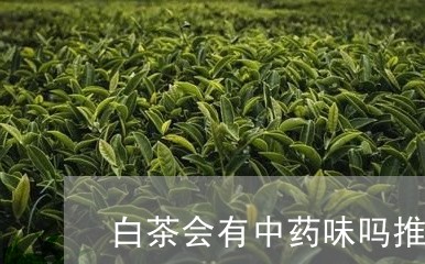 白茶会有中药味吗推荐/2023041079483