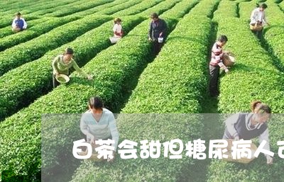 白茶会甜但糖尿病人可以喝/2023041098260