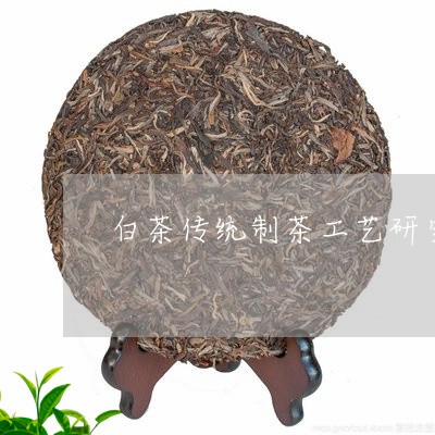 白茶传统制茶工艺研究背景/2023041073835