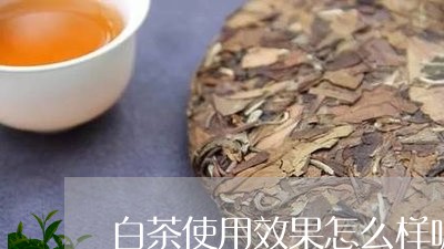 白茶使用效果怎么样呢视频/2023041316481