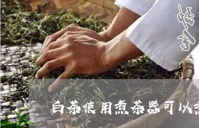 白茶使用煮茶器可以煮几次/2023041048392