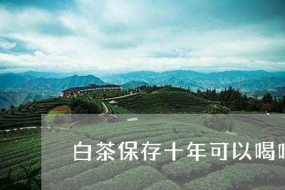 白茶保存十年可以喝吗/2023041074927