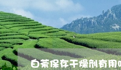 白茶保存干燥剂有用吗百度/2023041032736