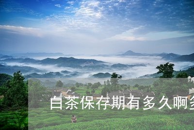 白茶保存期有多久啊多少度/2023041056036