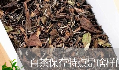 白茶保存特点是啥样的茶叶/2023041341795