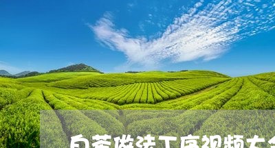 白茶做法工序视频大全教程/2023041057492