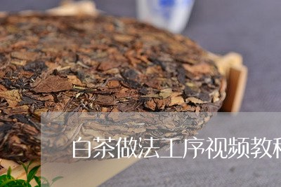 白茶做法工序视频教程大全/2023041000624