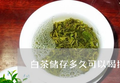 白茶储存多久可以喝掉茶叶/2023041005168