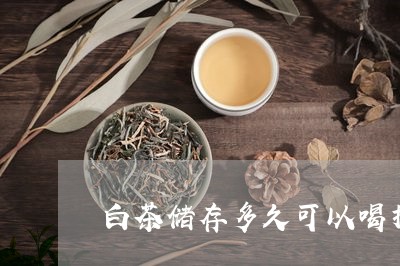 白茶储存多久可以喝掉茶叶/2023041302059