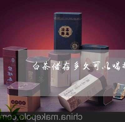 白茶储存多久可以喝掉茶油/2023041096252