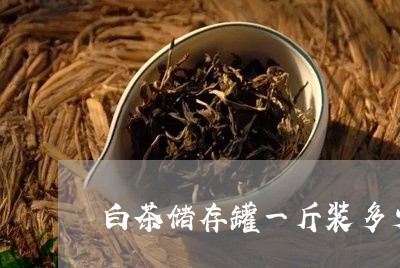 白茶储存罐一斤装多少茶叶/2023041077369