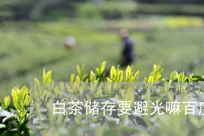 白茶储存要避光嘛百度/2023041001049