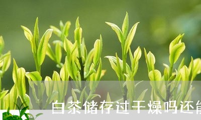 白茶储存过干燥吗还能喝吗/2023041350281