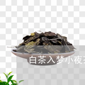 白茶入梦小夜茶子丝绒价格/2023041369502