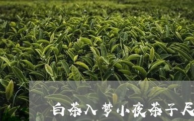 白茶入梦小夜茶子尺码测评/2023041081616