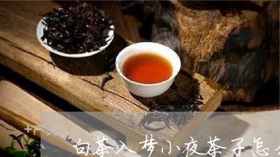 白茶入梦小夜茶子怎么搭配/2023041376160