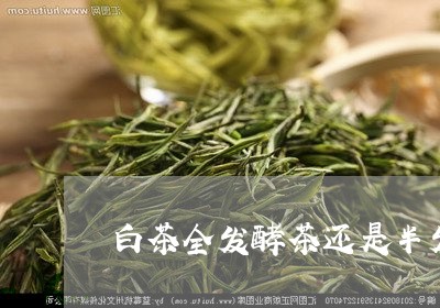 白茶全发酵茶还是半发酵茶/2023041006261