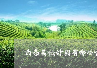 白茶其他妙用有哪些呢视频/2023041071927