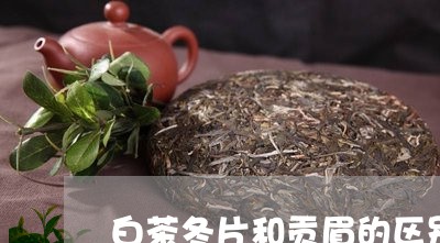 白茶冬片和贡眉的区别图片/2023041332615