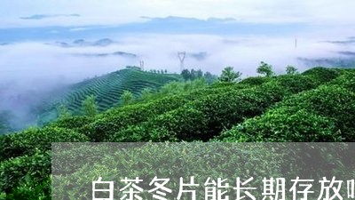 白茶冬片能长期存放吗百度/2023041333804