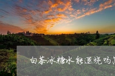 白茶冰糖水能退烧吗怎么喝/2023041079704