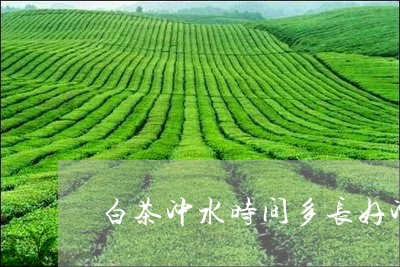 白茶冲水时间多长好冲一次/2023041345158