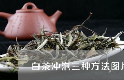 白茶冲泡三种方法图片欣赏/2023041046139