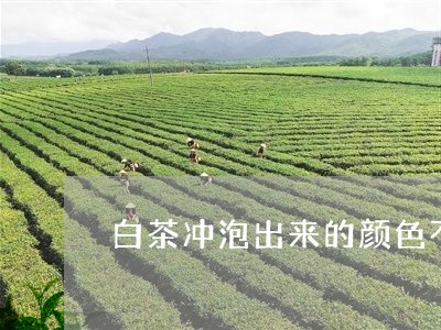 白茶冲泡出来的颜色不一样/2023041083058