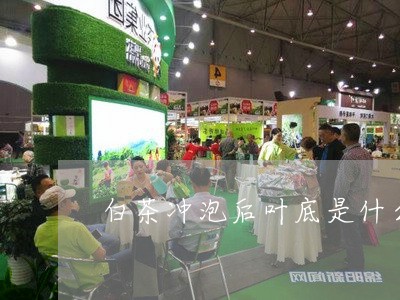 白茶冲泡后叶底是什么颜色/2023041016462