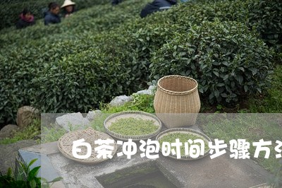 白茶冲泡时间步骤方法窍门/2023041384828