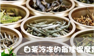 白茶冷冻的最佳温度是多少/2023041059525