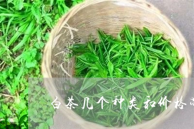 白茶几个种类和价格带图片/2023041095279