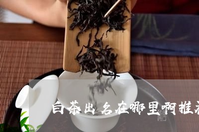 白茶出名在哪里啊推荐/2023041048482