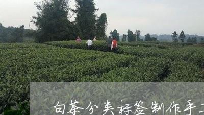 白茶分类标签制作手工视频/2023041004717