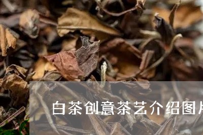 白茶创意茶艺介绍图片简单/2023041085068