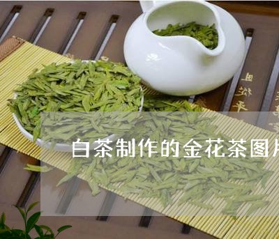 白茶制作的金花茶图片价格/2023041332784