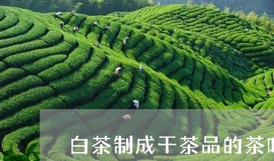 白茶制成干茶品的茶叶特点/2023041060504