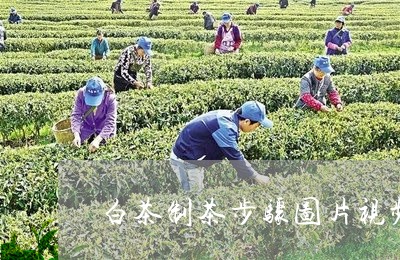 白茶制茶步骤图片视频讲解/2023041332725