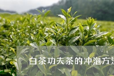 白茶功夫茶的冲泡方法视频/2023041059616