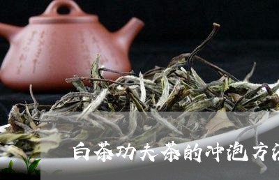 白茶功夫茶的冲泡方法视频/2023041314036