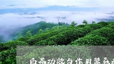 白茶功效与作用禁忌症图片/2023041322824