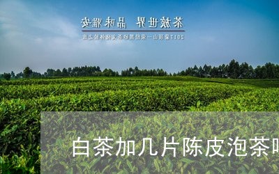 白茶加几片陈皮泡茶喝最好/2023041039684