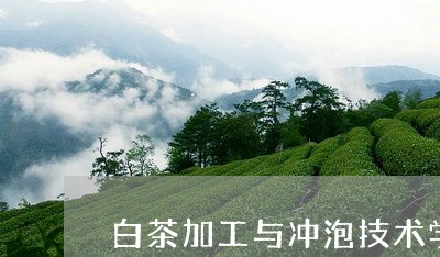 白茶加工与冲泡技术学什么/2023041303917