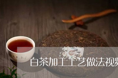 白茶加工工艺做法视频大全/2023041028504