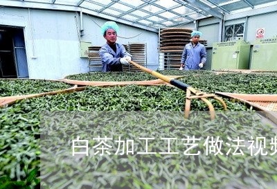 白茶加工工艺做法视频教程/2023041027381