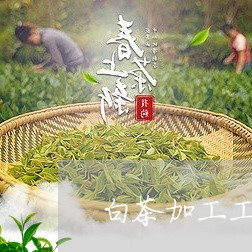 白茶加工工艺教程戒指图片/2023041026269