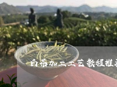 白茶加工工艺教程推荐视频/2023041394948